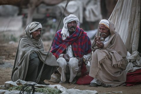 Desert Elders Rajasthan | India