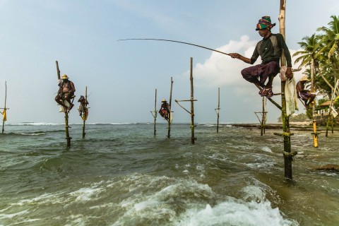 Stilt Fisherman | Sri Lanka