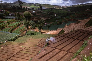 IMG_1093