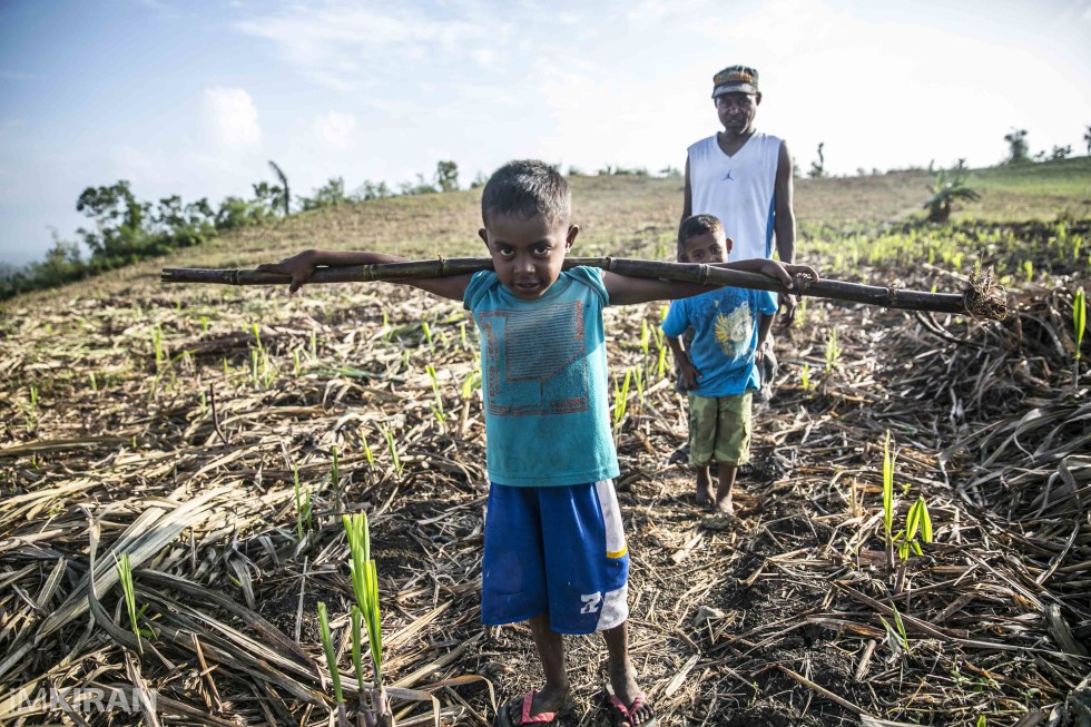 Hema's kid happy with todays reward, sugarcane and its a whole stick.