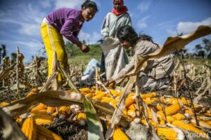 Hard Workers of The Mountains | Ati Tribe, Philippines