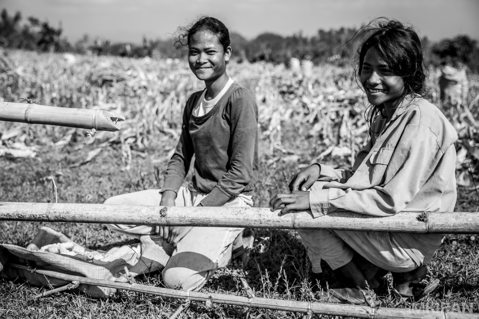 Two young Ati girls here helping out their families at the corn field. This is their daily lives working from sun rise to sun set.