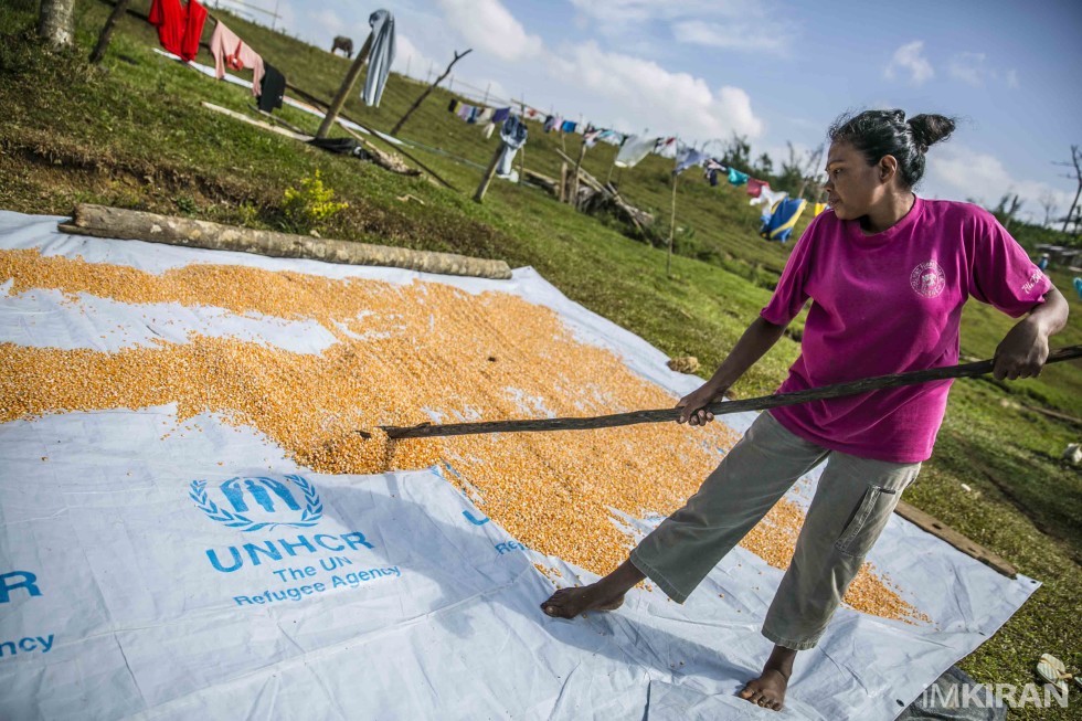 keeping the corn dry and ready to be packed. - Ati Tribe