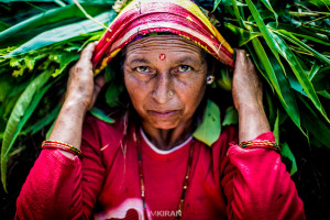 The Hokse Farmer | Voices Of Nepal