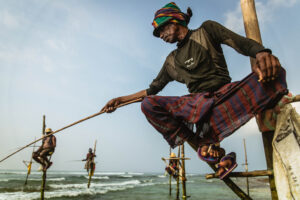 The Stilt Fisherman Of Sri Lanka