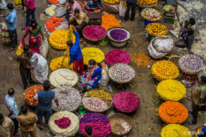 Follow The Flower Trail In Bangalore, India