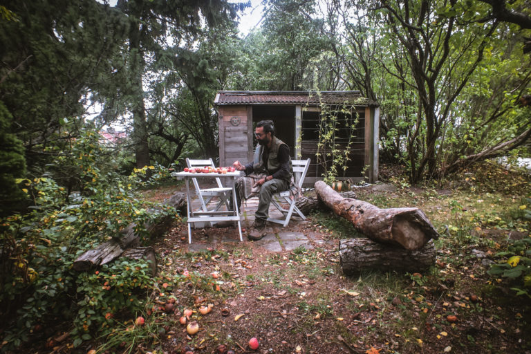 An Apple Tree in Finland, My Voyage Across Europe Begins